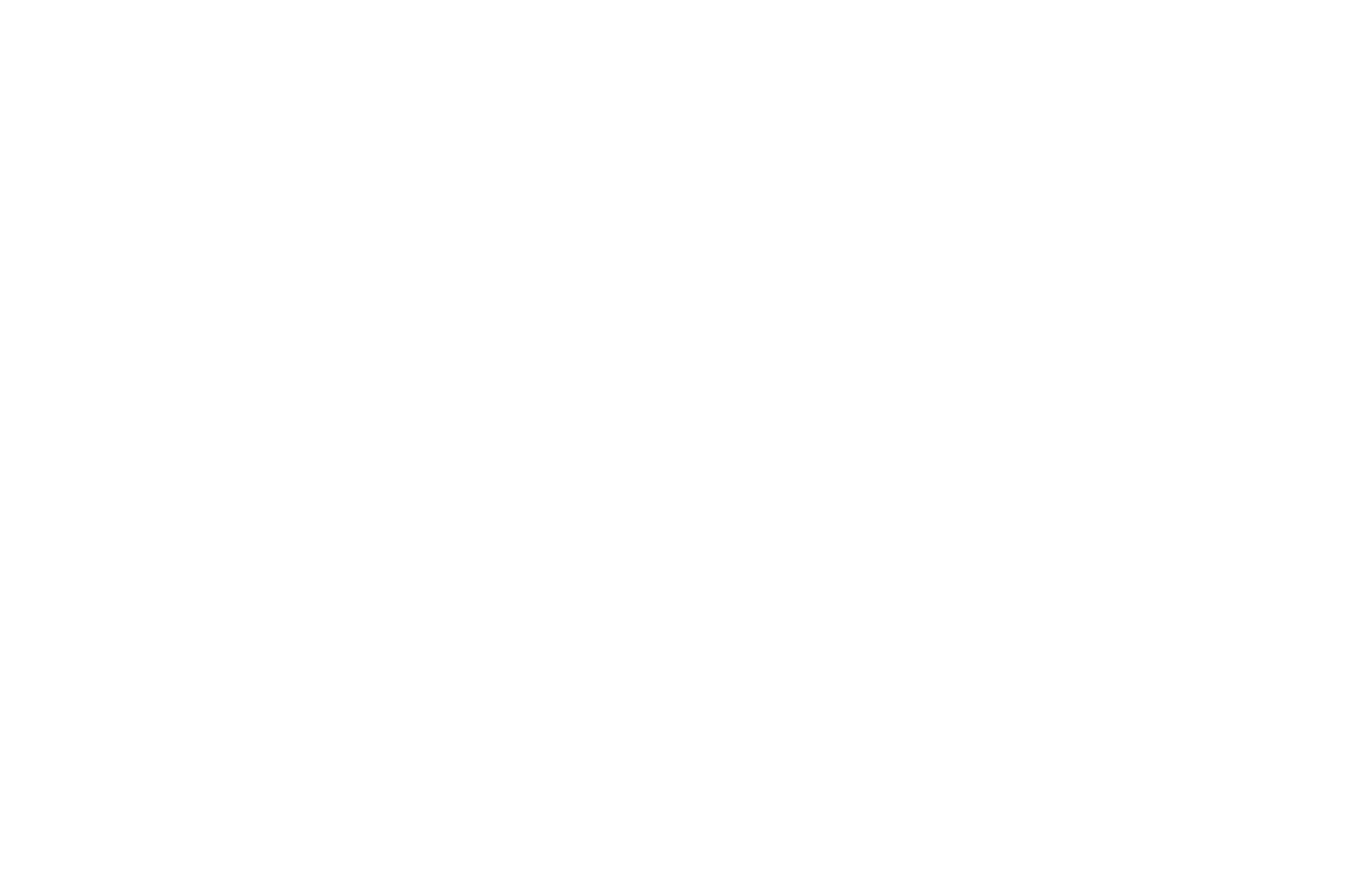 Logo BT Company
